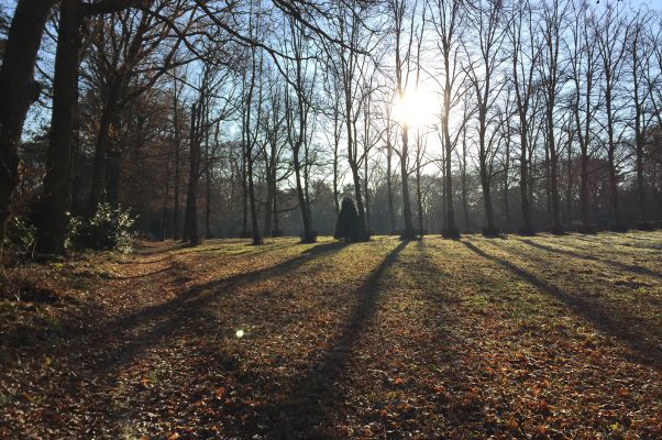 Utrecht Hill Ridge Long Run 2