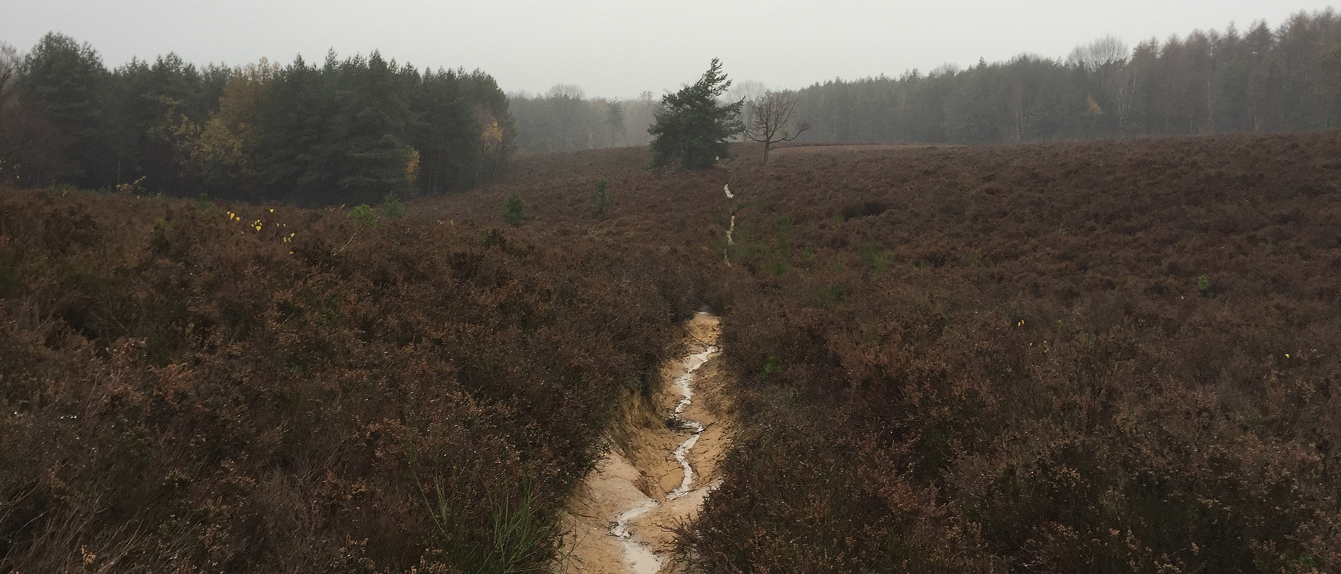 Out On The Trails