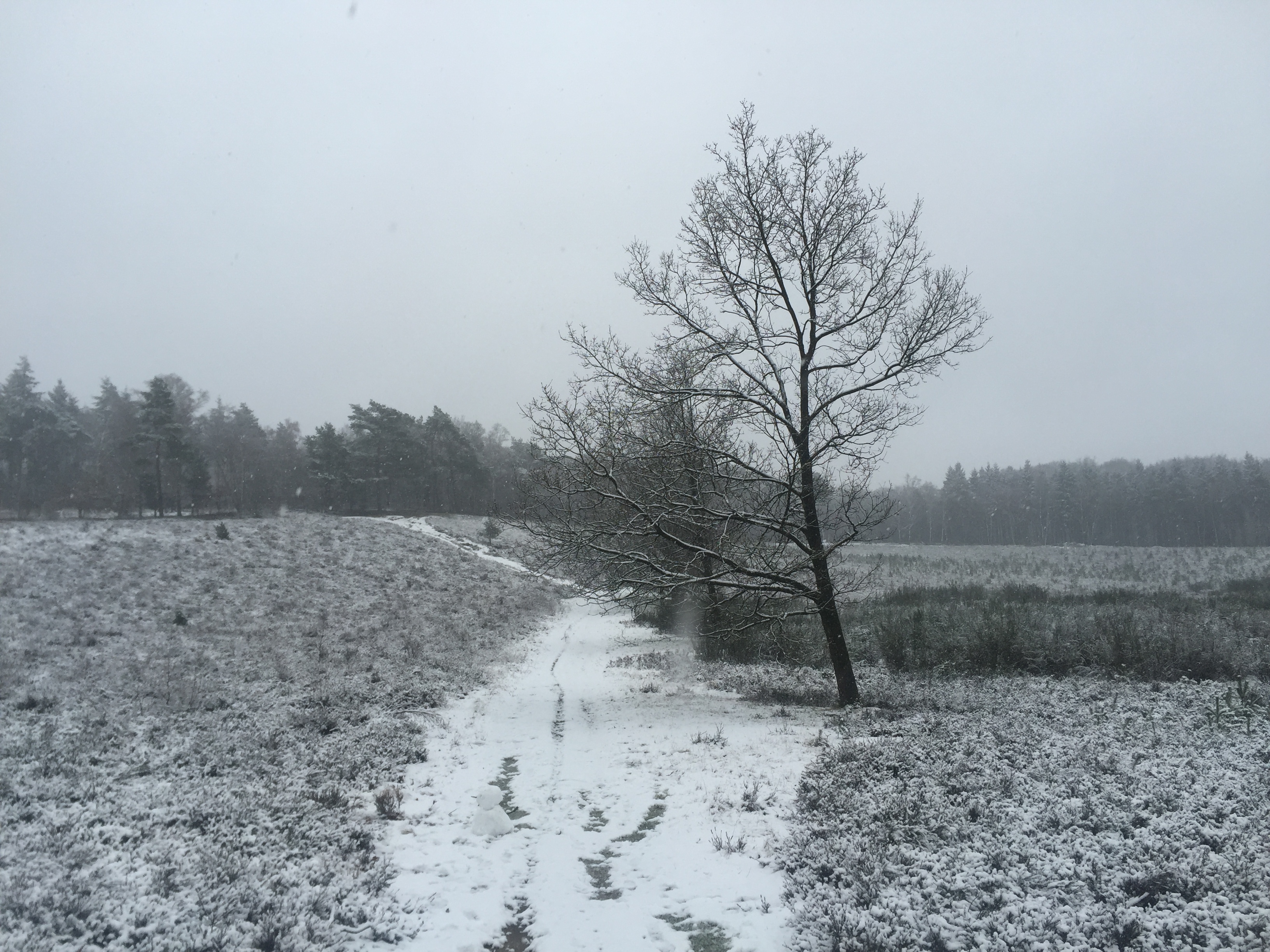 Out On The Trails