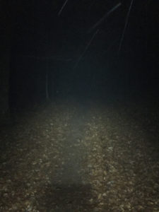 bgnight