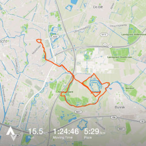 saturday1012run